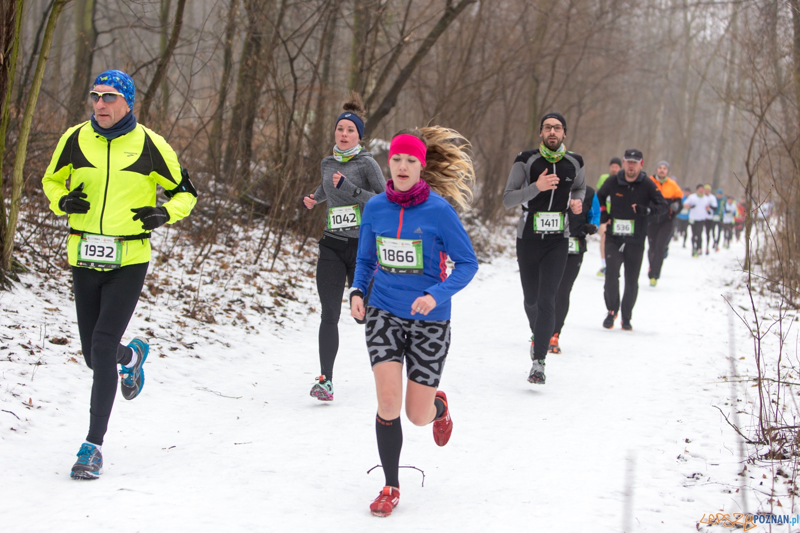 City Trail Poznań Foto: lepszyPOZNAN.pl / Piotr Rychter City Trail Poznań Foto: lepszyPOZNAN.pl / Piotr Rychter