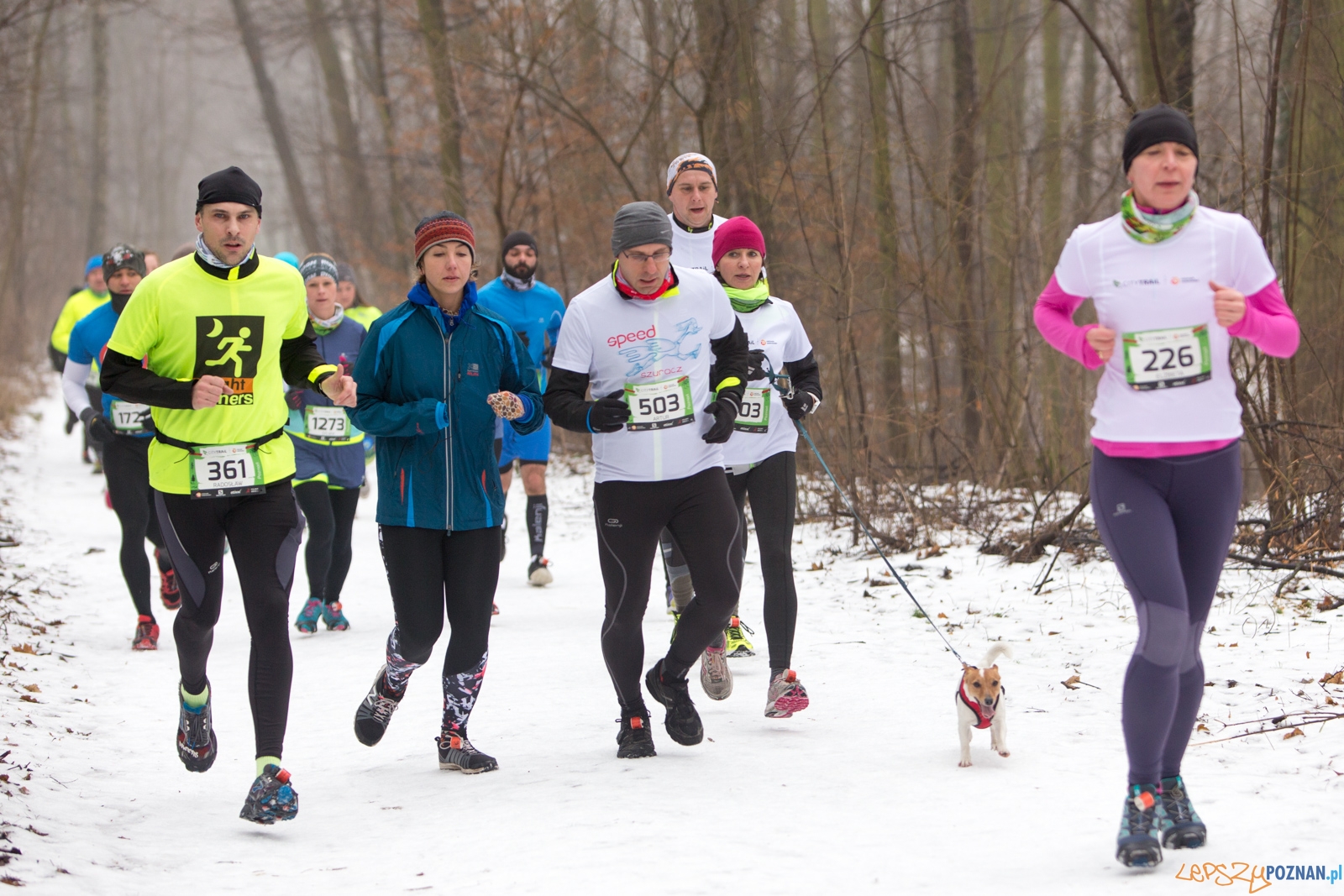 City Trail Poznań Foto: lepszyPOZNAN.pl / Piotr Rychter City Trail Poznań Foto: lepszyPOZNAN.pl / Piotr Rychter