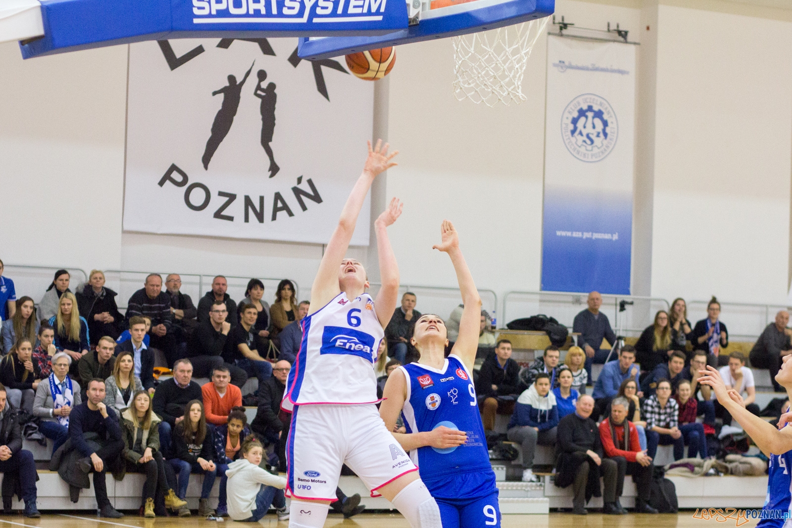 Enea AZS Poznań - ŁKS SMS Łódź Foto: Ewelina Jaśkowiak Enea AZS Poznań - ŁKS SMS Łódź Foto: Ewelina Jaśkowiak