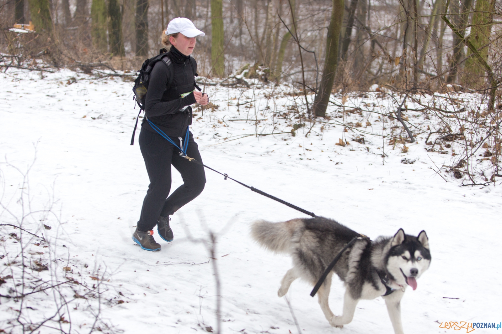 City Trail Poznań Foto: lepszyPOZNAN.pl / Piotr Rychter City Trail Poznań Foto: lepszyPOZNAN.pl / Piotr Rychter