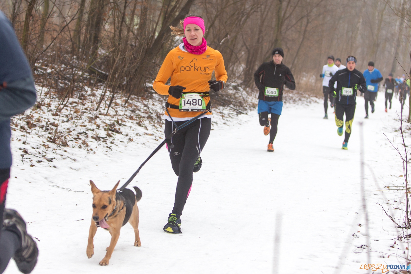 City Trail Poznań Foto: lepszyPOZNAN.pl / Piotr Rychter City Trail Poznań Foto: lepszyPOZNAN.pl / Piotr Rychter