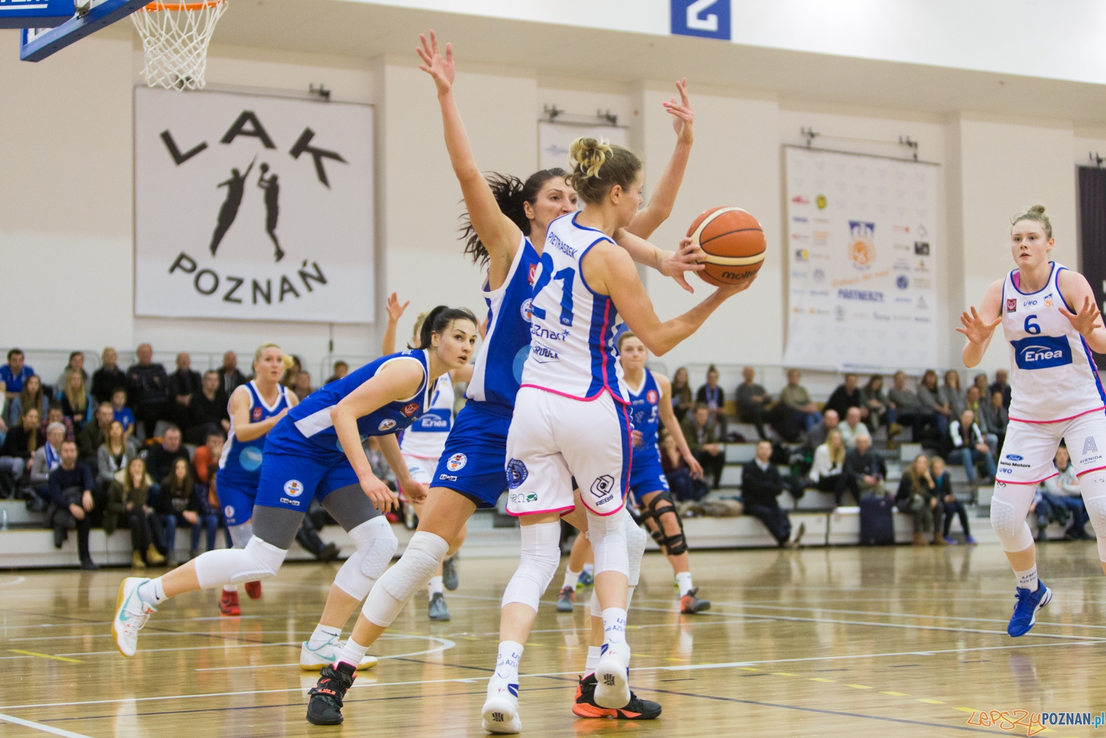 Enea AZS Poznań - ŁKS SMS Łódź Foto: lepszyPOZNAN.pl / Piotr Rychter Enea AZS Poznań - ŁKS SMS Łódź Foto: lepszyPOZNAN.pl / Piotr Rychter