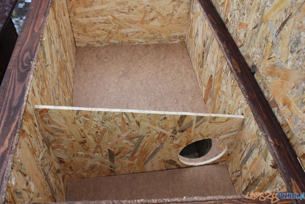 Domki dla kociambrów Foto: Schronisko dla zwierząt w Poznaniu Domki dla kociambrów Foto: Schronisko dla zwierząt w Poznaniu