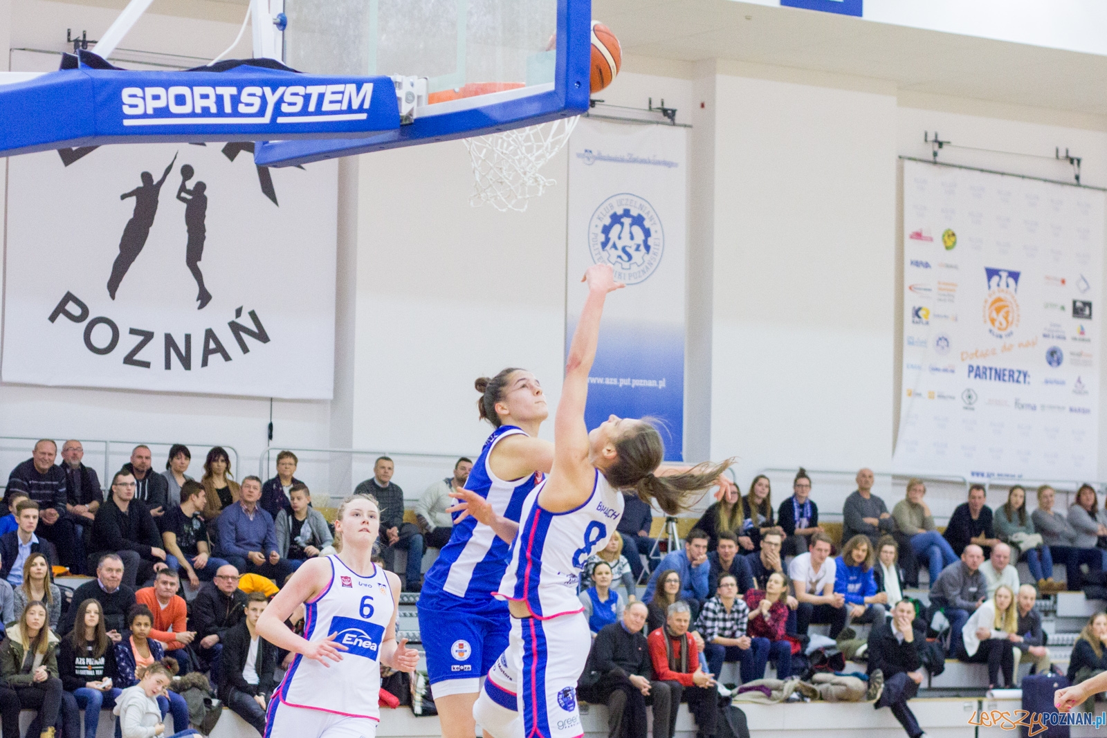Enea AZS Poznań - ŁKS SMS Łódź Foto: Ewelina Jaśkowiak Enea AZS Poznań - ŁKS SMS Łódź Foto: Ewelina Jaśkowiak