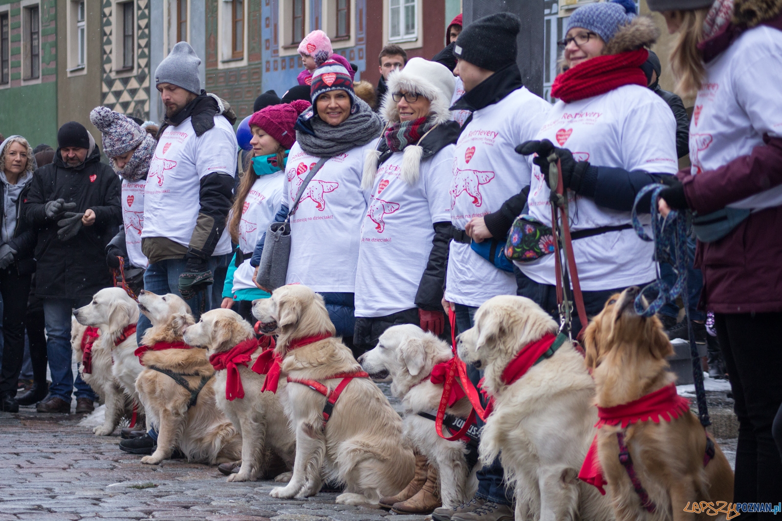 25. Finał Wielkiej Orkiestry Świątecznej Pomocy Foto: Ewelina Jaśkowiak 25. Finał Wielkiej Orkiestry Świątecznej Pomocy Foto: Ewelina Jaśkowiak