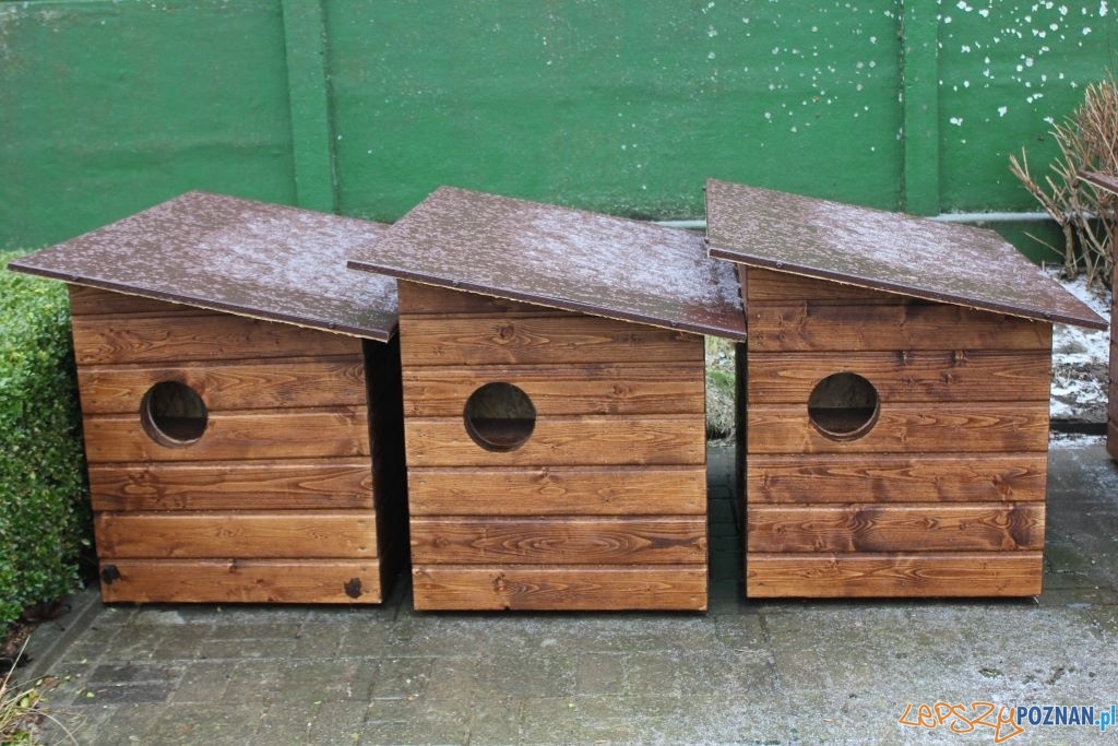 Domki dla kociambrów Foto: Schronisko dla zwierząt w Poznaniu Domki dla kociambrów Foto: Schronisko dla zwierząt w Poznaniu