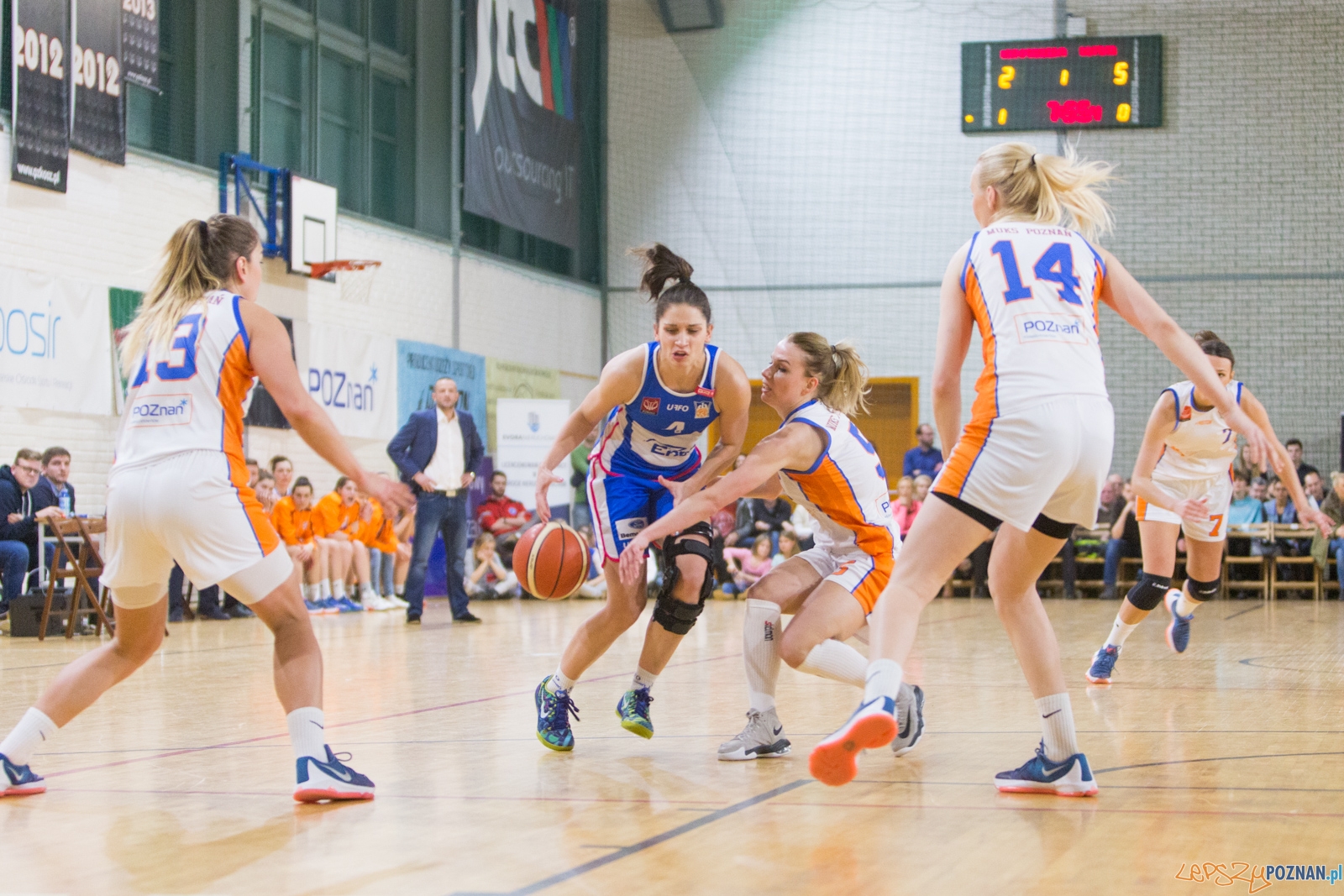Derby Poznania: MUKS Pomarańczarnia Poznań - ENEA AZS Poznań Foto: lepszyPOZNAN.pl / Piotr Rychter Derby Poznania: MUKS Pomarańczarnia Poznań - ENEA AZS Poznań Foto: lepszyPOZNAN.pl / Piotr Rychter
