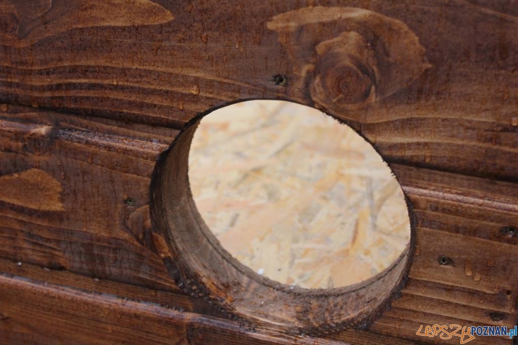 Domki dla kociambrów Foto: Schronisko dla zwierząt w Poznaniu Domki dla kociambrów Foto: Schronisko dla zwierząt w Poznaniu