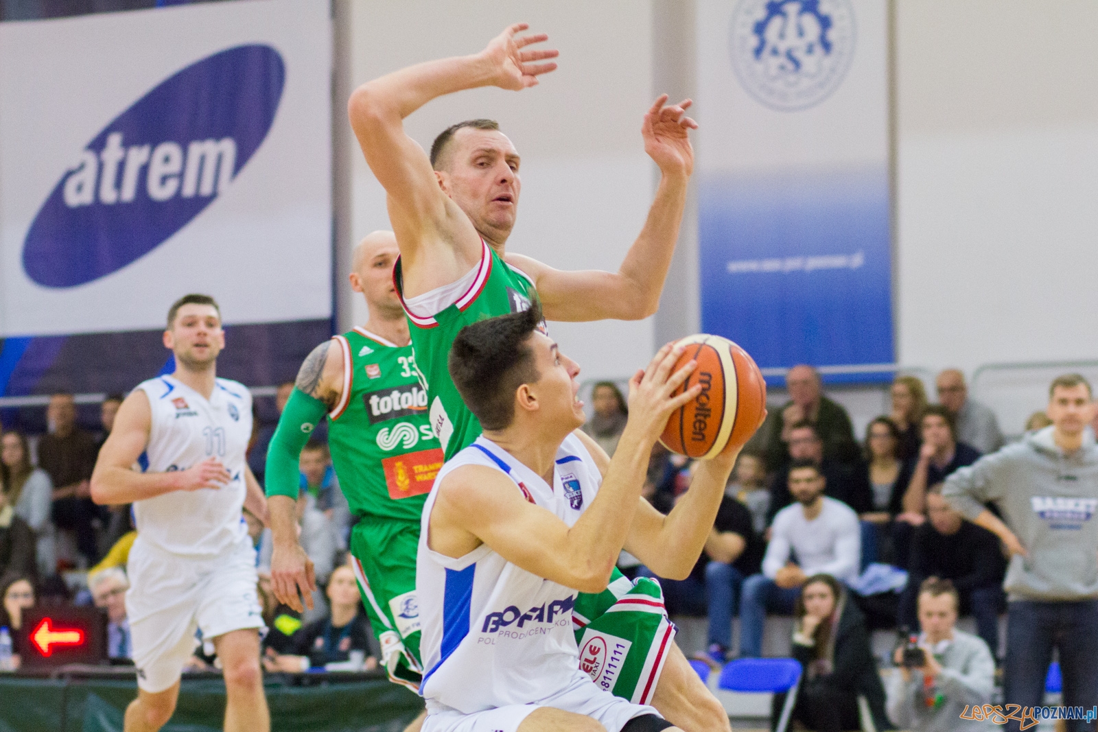 Biofarm Basket Poznań - Legia Warszawa Foto: Ewelina Jaśkowiak Biofarm Basket Poznań - Legia Warszawa Foto: Ewelina Jaśkowiak