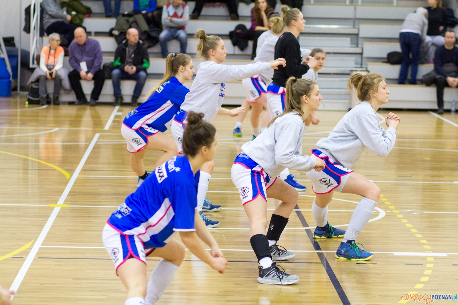 Enea AZS Poznań - ŁKS SMS Łódź Foto: Ewelina Jaśkowiak Enea AZS Poznań - ŁKS SMS Łódź Foto: Ewelina Jaśkowiak