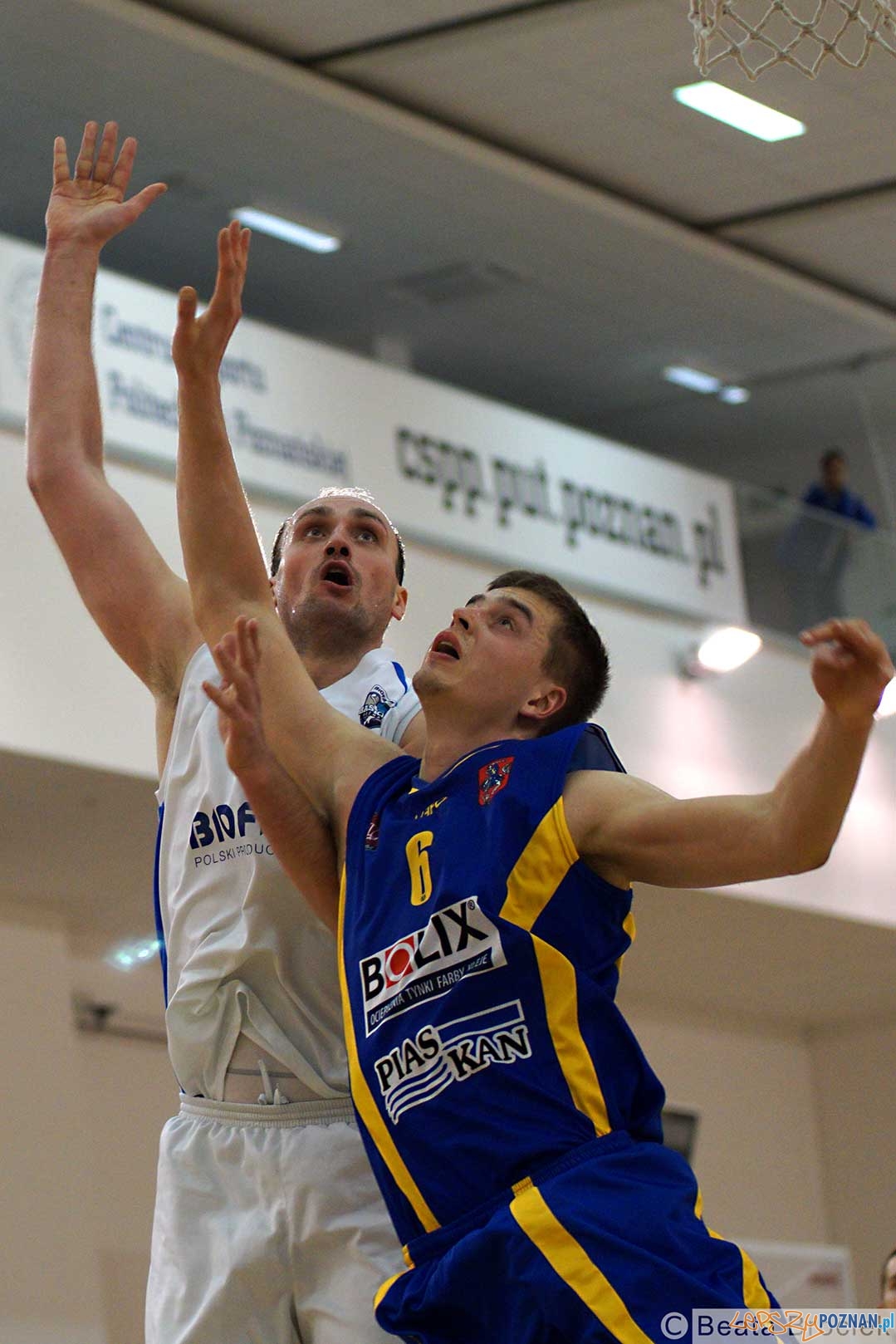 SKK Siedlce - Biofarm Basket Foto: Beata Brociek / BBP SKK Siedlce - Biofarm Basket Foto: Beata Brociek / BBP