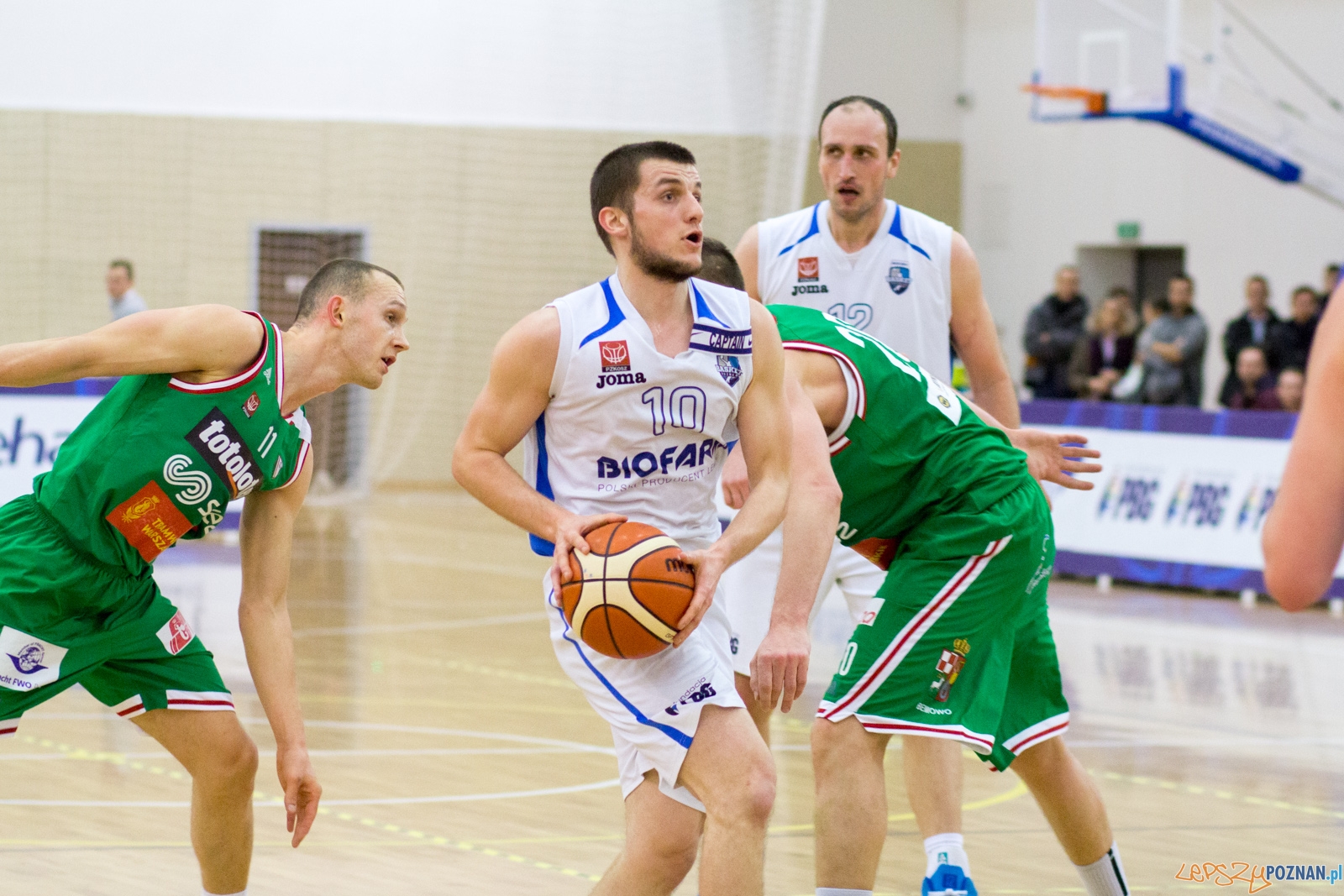 Biofarm Basket Poznań - Legia Warszawa Foto: Ewelina Jaśkowiak Biofarm Basket Poznań - Legia Warszawa Foto: Ewelina Jaśkowiak