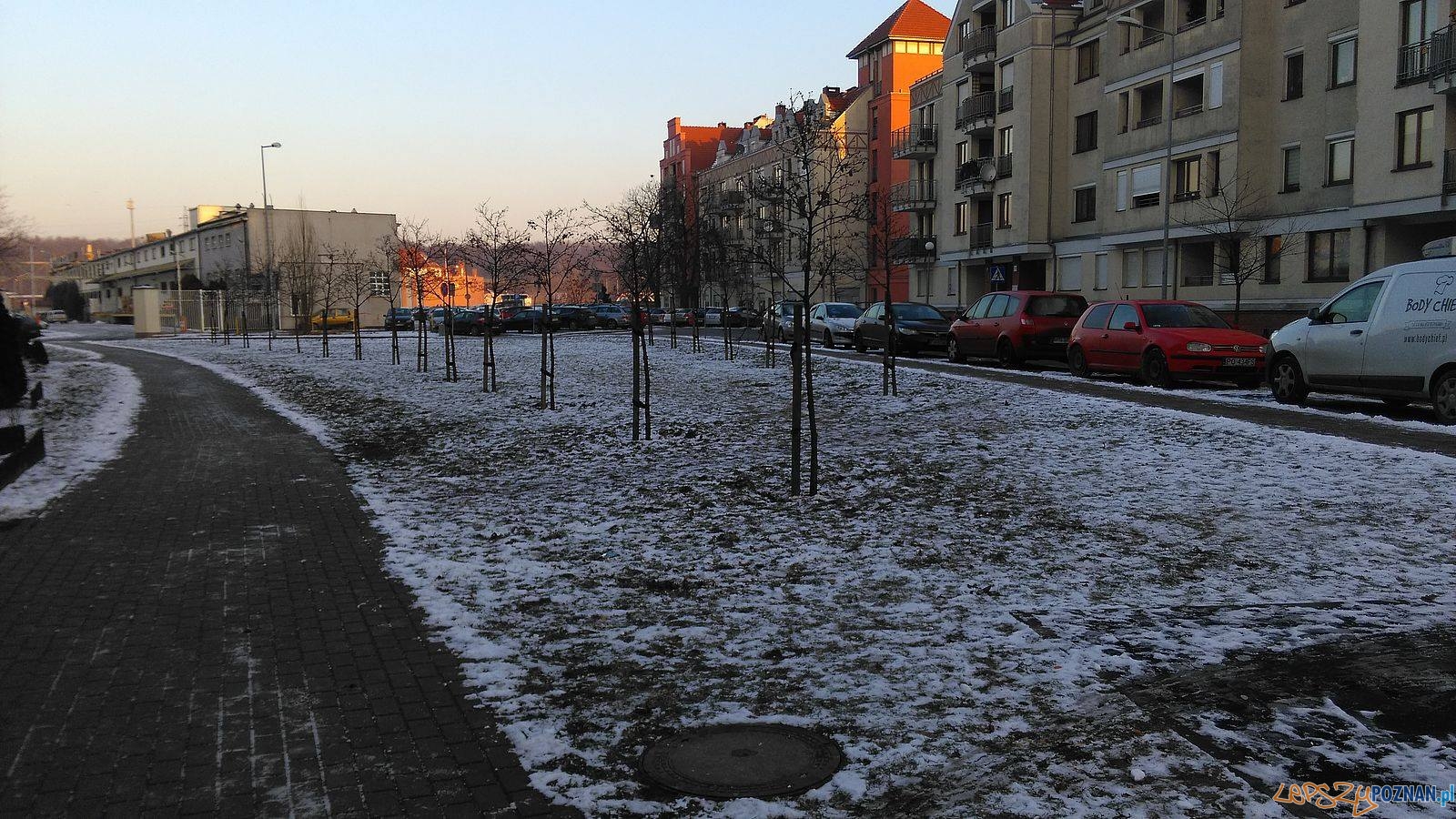 Skwer przy ul. Szyperskiej Foto: Tomasz Dworek Skwer przy ul. Szyperskiej Foto: Tomasz Dworek