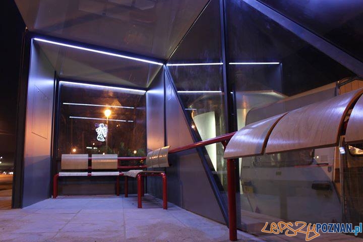 Przystanek Artystyczny - Suchy las Foto: Stowarzyszenie Gmin i Powiatów Wielkopolski / Damian Torba Przystanek Artystyczny - Suchy las Foto: Stowarzyszenie Gmin i Powiatów Wielkopolski / Damian Torba