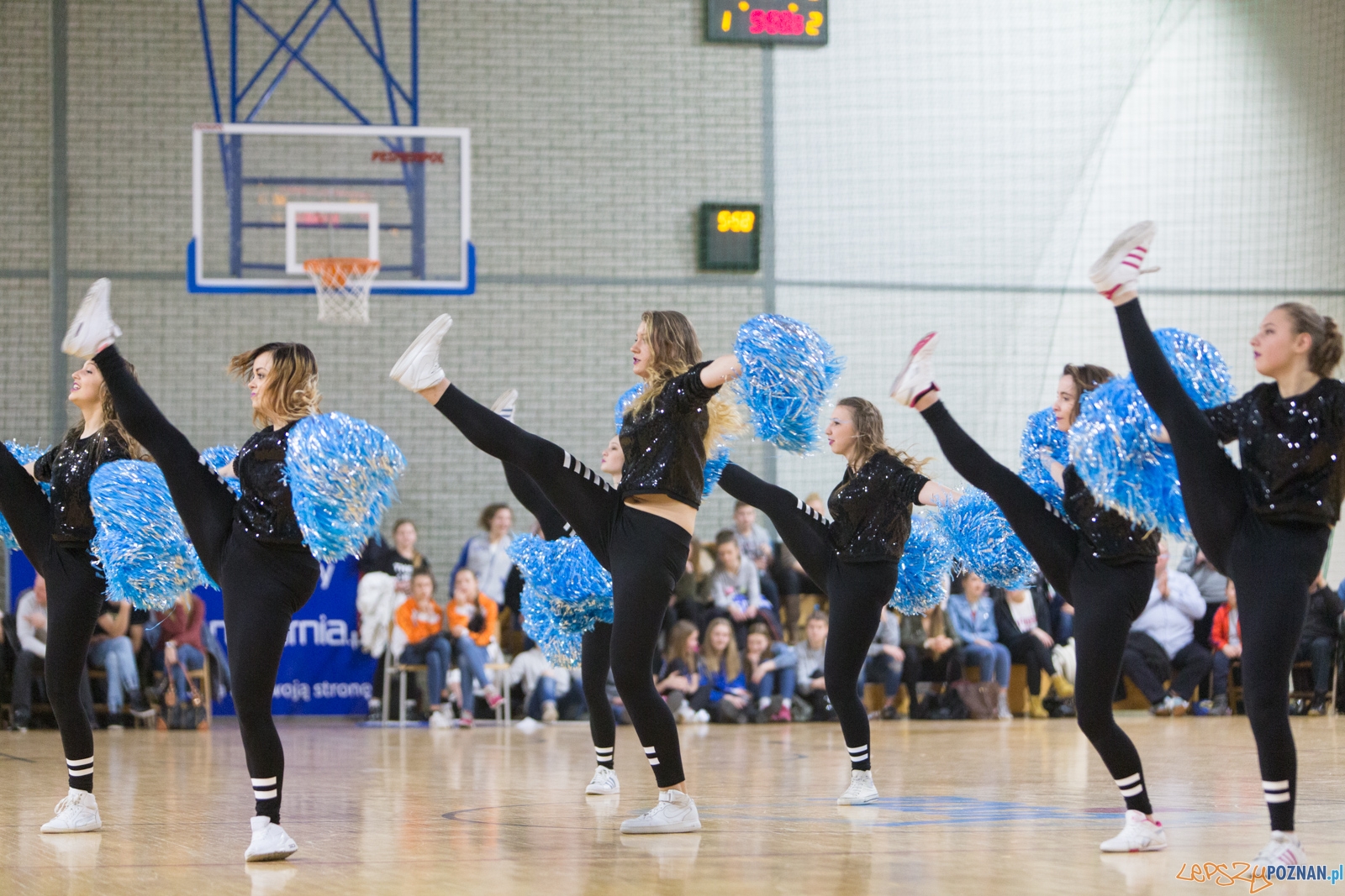 Derby Poznania: MUKS Pomarańczarnia Poznań - ENEA AZS Poznań Foto: lepszyPOZNAN.pl / Piotr Rychter Derby Poznania: MUKS Pomarańczarnia Poznań - ENEA AZS Poznań Foto: lepszyPOZNAN.pl / Piotr Rychter