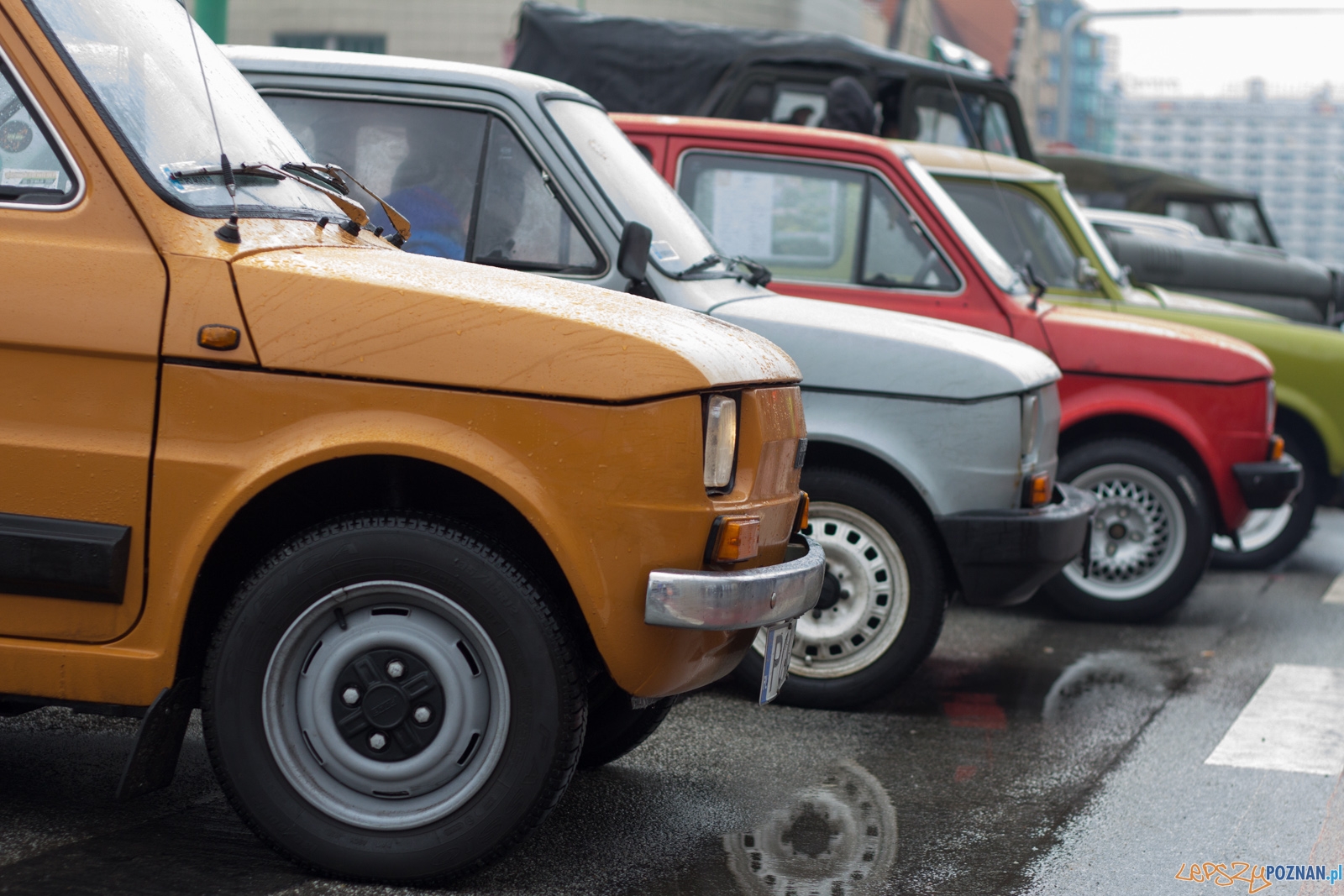 25. Finał Wielkiej Orkiestry Świątecznej Pomocy Foto: Ewelina Jaśkowiak 25. Finał Wielkiej Orkiestry Świątecznej Pomocy Foto: Ewelina Jaśkowiak