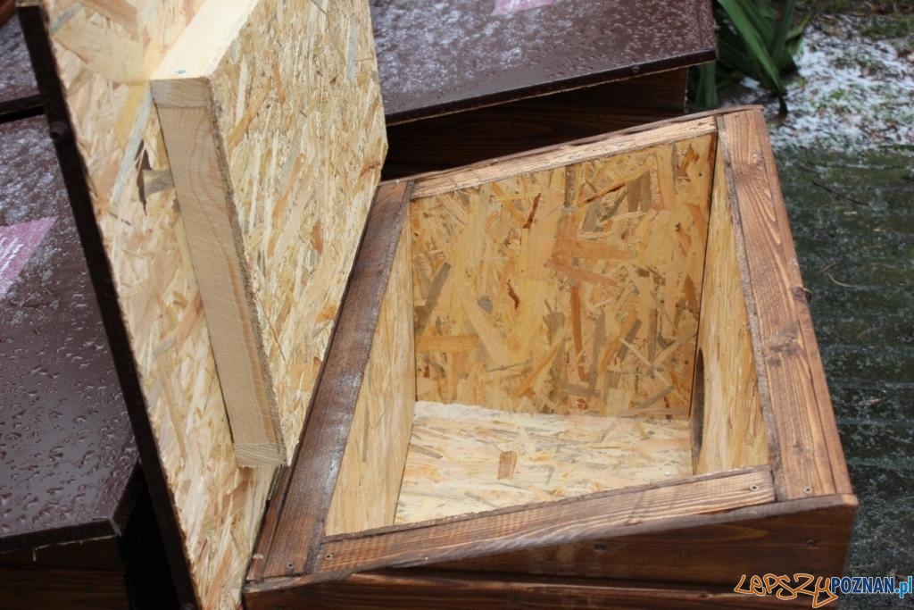 Domki dla kociambrów Foto: Schronisko dla zwierząt w Poznaniu Domki dla kociambrów Foto: Schronisko dla zwierząt w Poznaniu