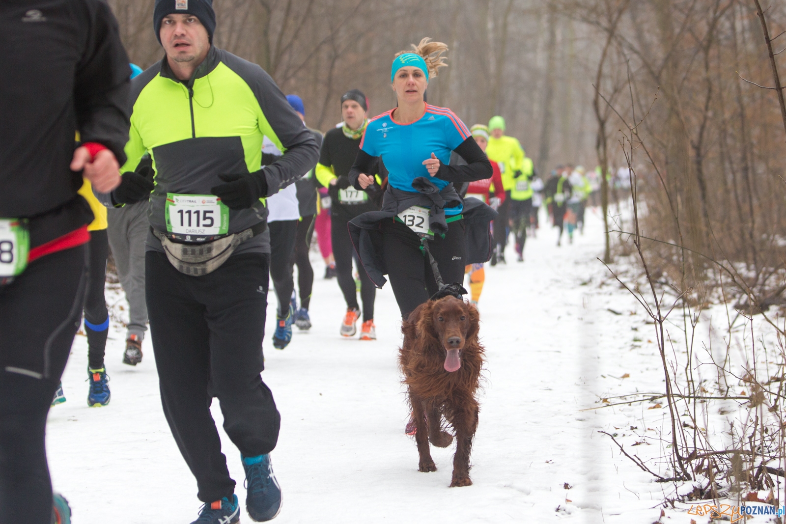 City Trail Poznań  Foto: lepszyPOZNAN.pl / Piotr Rychter