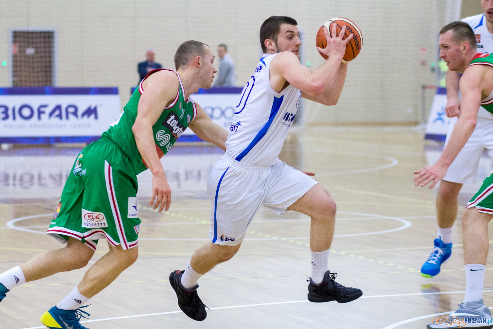Biofarm Basket Poznań - Legia Warszawa Foto: Ewelina Jaśkowiak Biofarm Basket Poznań - Legia Warszawa Foto: Ewelina Jaśkowiak