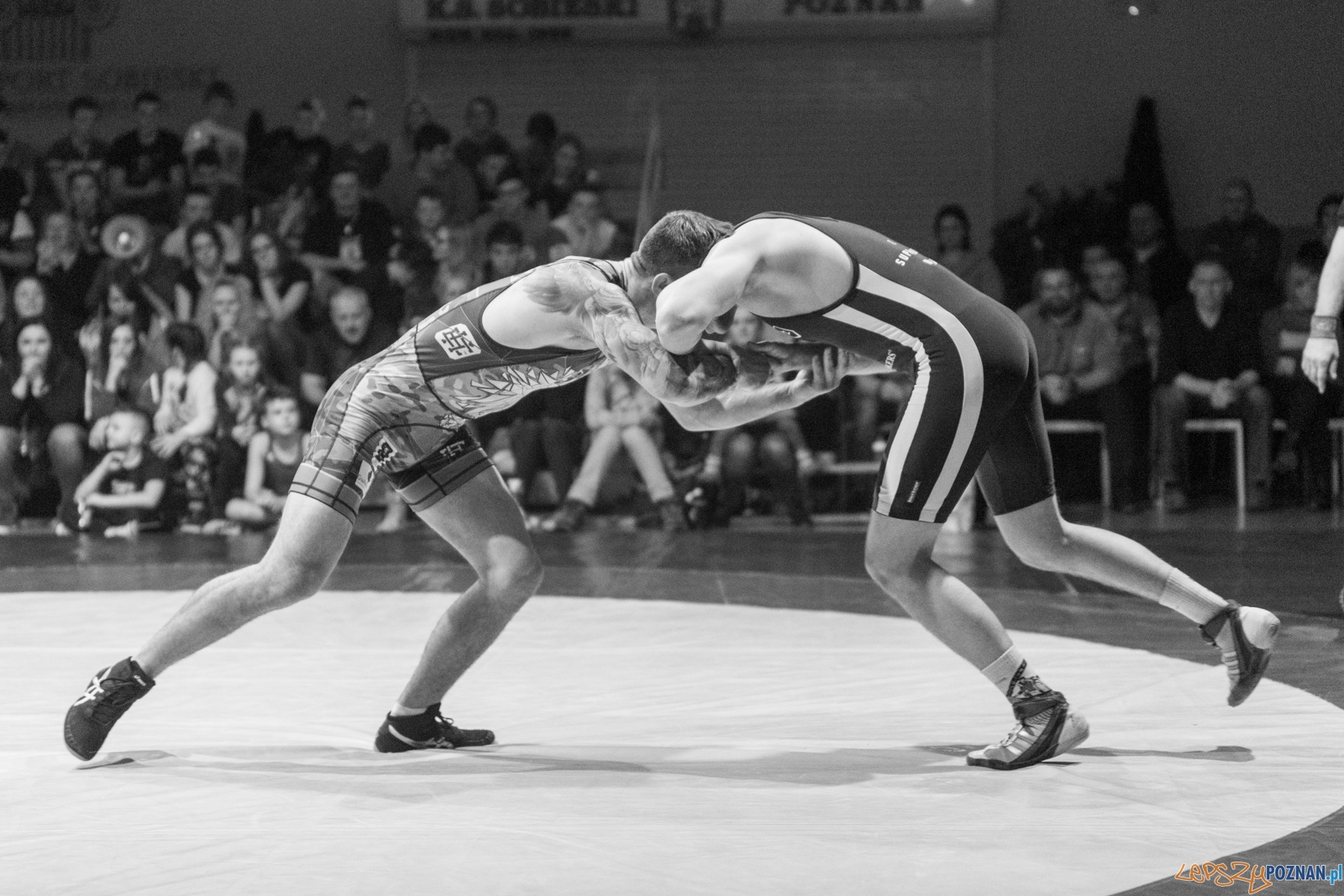 Krajowa Liga Zapaśnicza - WKS Grunwald - AZ Supra Brokers Wroc Foto: lepszyPOZNAN.pl / Piotr Rychter Krajowa Liga Zapaśnicza - WKS Grunwald - AZ Supra Brokers Wroc Foto: lepszyPOZNAN.pl / Piotr Rychter