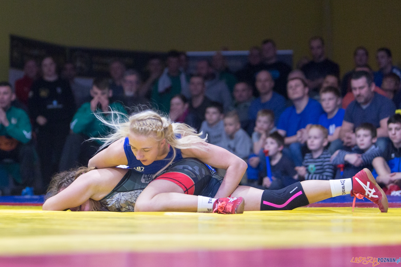 Krajowa Liga Zapaśnicza - WKS Grunwald - AZ Supra Brokers Wroc Foto: lepszyPOZNAN.pl / Piotr Rychter Krajowa Liga Zapaśnicza - WKS Grunwald - AZ Supra Brokers Wroc Foto: lepszyPOZNAN.pl / Piotr Rychter