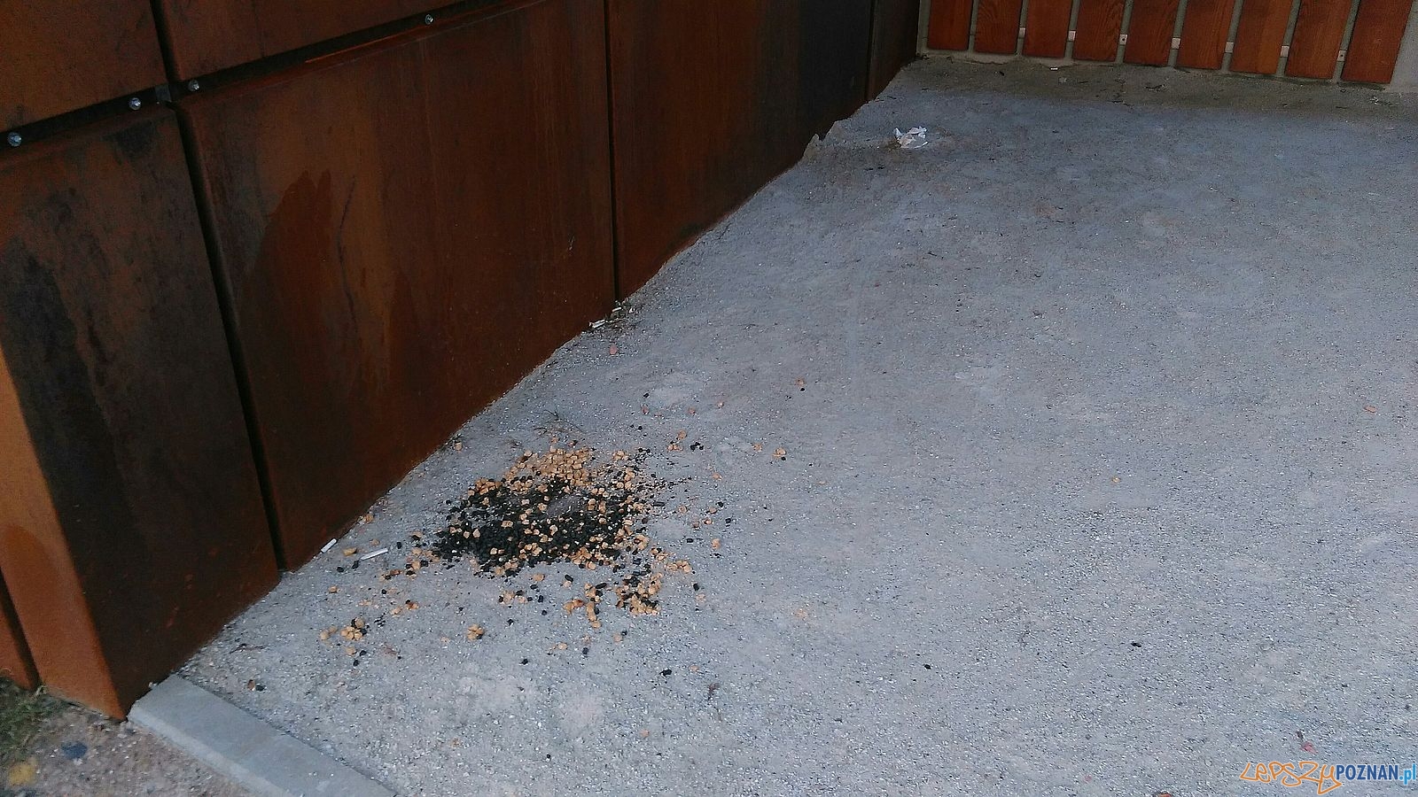 Podejrzana substancja Foto: Rada Osiedla Stare Miasto Podejrzana substancja Foto: Rada Osiedla Stare Miasto