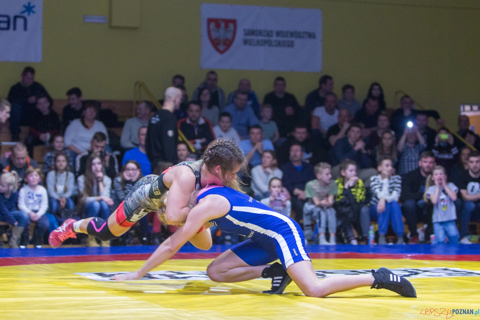 Krajowa Liga Zapaśnicza - WKS Grunwald - AZ Supra Brokers Wroc Foto: lepszyPOZNAN.pl / Piotr Rychter Krajowa Liga Zapaśnicza - WKS Grunwald - AZ Supra Brokers Wroc Foto: lepszyPOZNAN.pl / Piotr Rychter