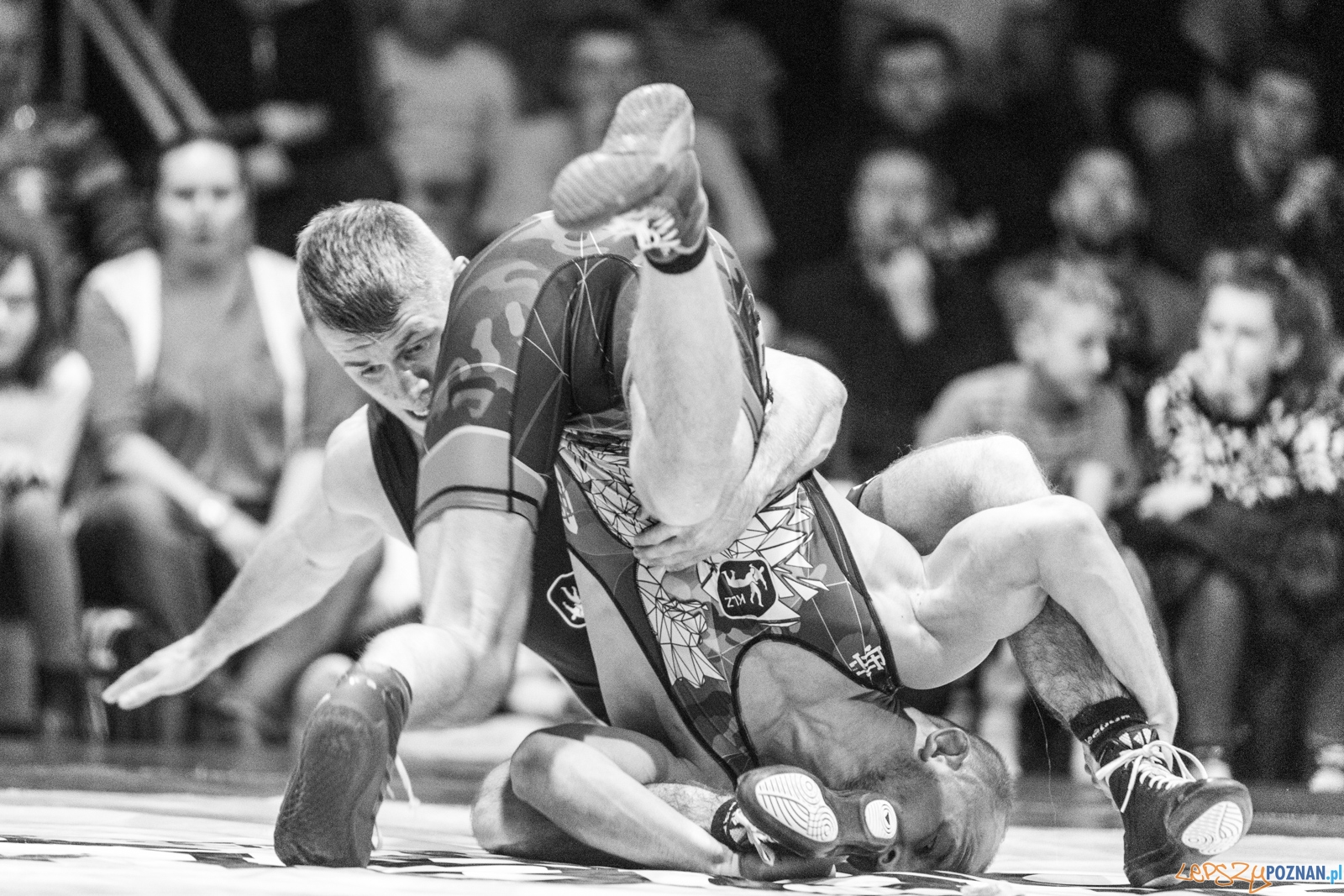 Krajowa Liga Zapaśnicza - WKS Grunwald - AZ Supra Brokers Wroc Foto: lepszyPOZNAN.pl / Piotr Rychter Krajowa Liga Zapaśnicza - WKS Grunwald - AZ Supra Brokers Wroc Foto: lepszyPOZNAN.pl / Piotr Rychter