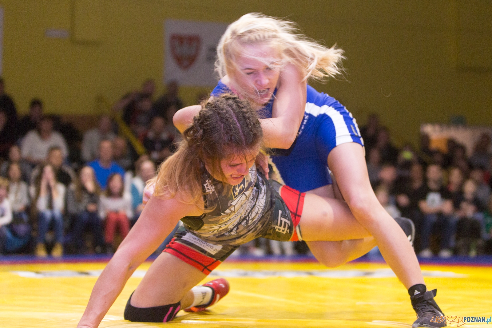 Krajowa Liga Zapaśnicza - WKS Grunwald - AZ Supra Brokers Wroc Foto: lepszyPOZNAN.pl / Piotr Rychter Krajowa Liga Zapaśnicza - WKS Grunwald - AZ Supra Brokers Wroc Foto: lepszyPOZNAN.pl / Piotr Rychter