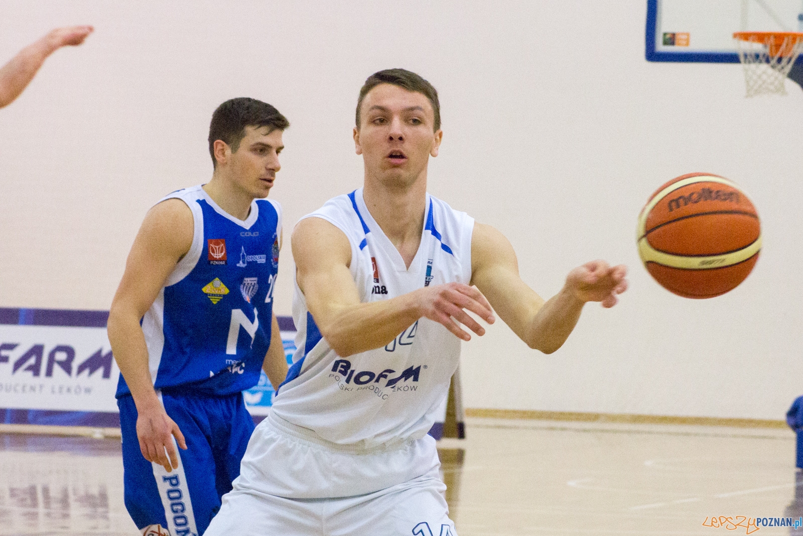 lepszy-4711 Foto: Ewelina Jaśkowiak lepszy-4711 Foto: Ewelina Jaśkowiak