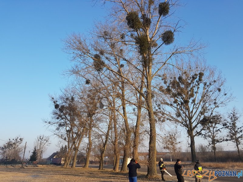 Mieszkańcy wzięli sprawy w swoje ręce Foto: UMiG Oborniki Mieszkańcy wzięli sprawy w swoje ręce Foto: UMiG Oborniki