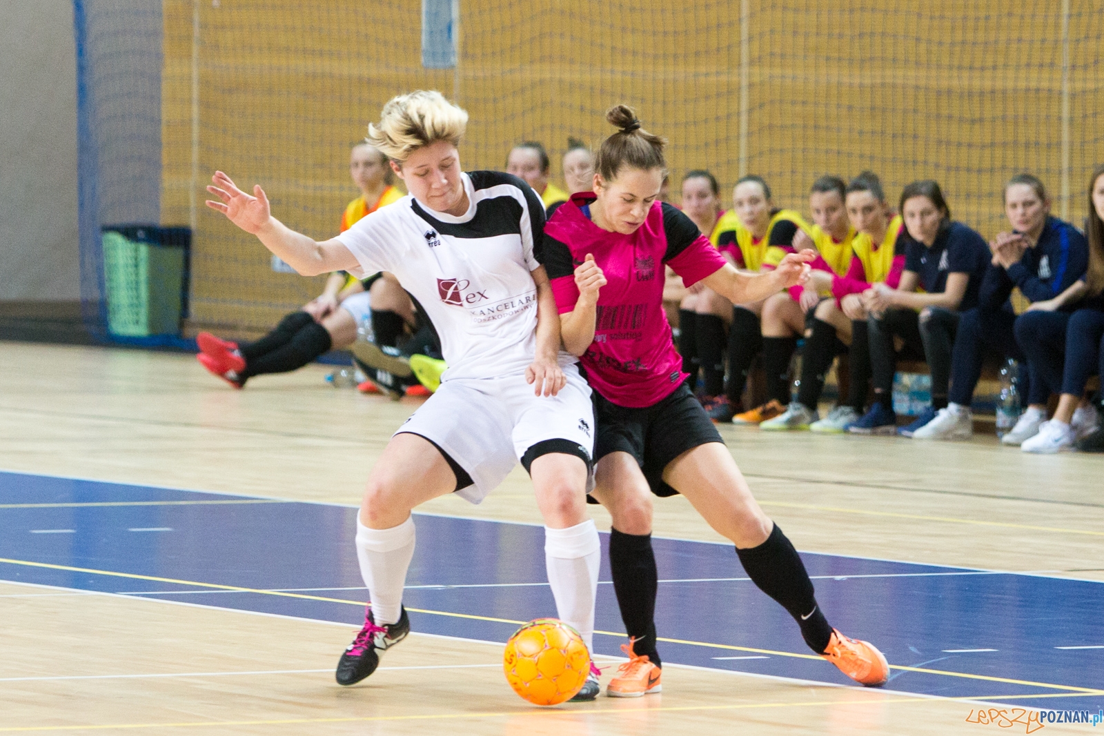 UAM Poznań - LEX Kancelaria Słomniki Foto: lepszyPOZNAN.pl / Piotr Rychter UAM Poznań - LEX Kancelaria Słomniki Foto: lepszyPOZNAN.pl / Piotr Rychter