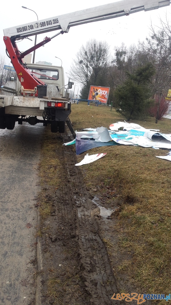 Murwa - zniszczony trawnik Foto: Straż Miejska Murwa - zniszczony trawnik Foto: Straż Miejska