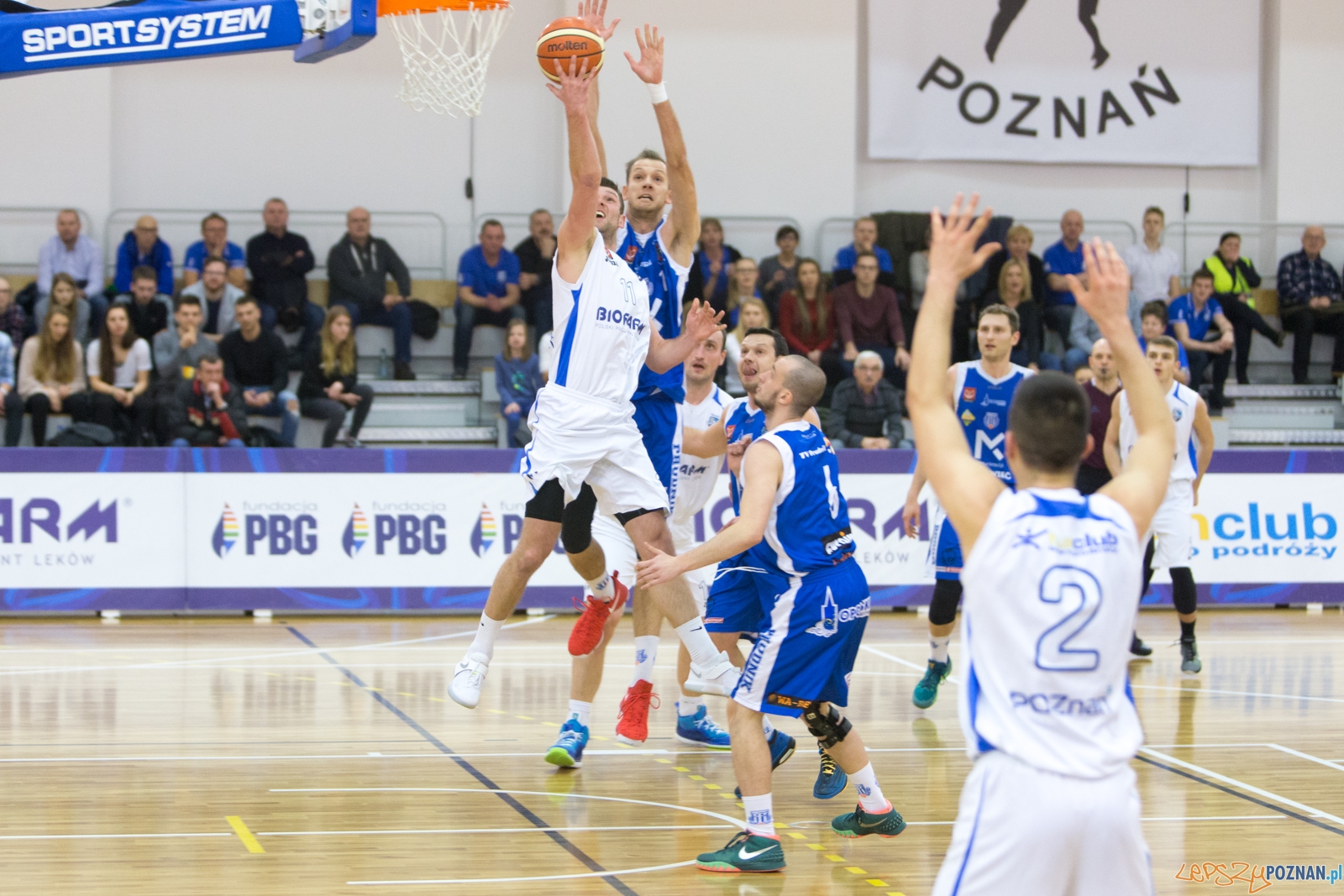 Biofarm Basket Poznań - Meritumkredyt Pogoń Prudnik Foto: lepszyPOZNAN.pl / Piotr Rychter Biofarm Basket Poznań - Meritumkredyt Pogoń Prudnik Foto: lepszyPOZNAN.pl / Piotr Rychter