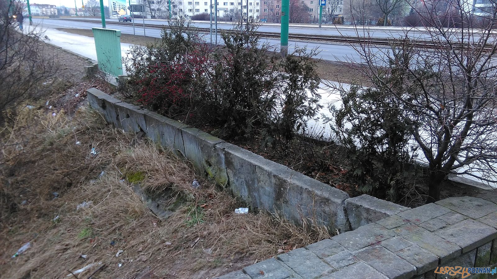 Bałagan wokół obelisku Akcji Bollwerk Foto: Rada Osiedla Stare Miasto Bałagan wokół obelisku Akcji Bollwerk Foto: Rada Osiedla Stare Miasto