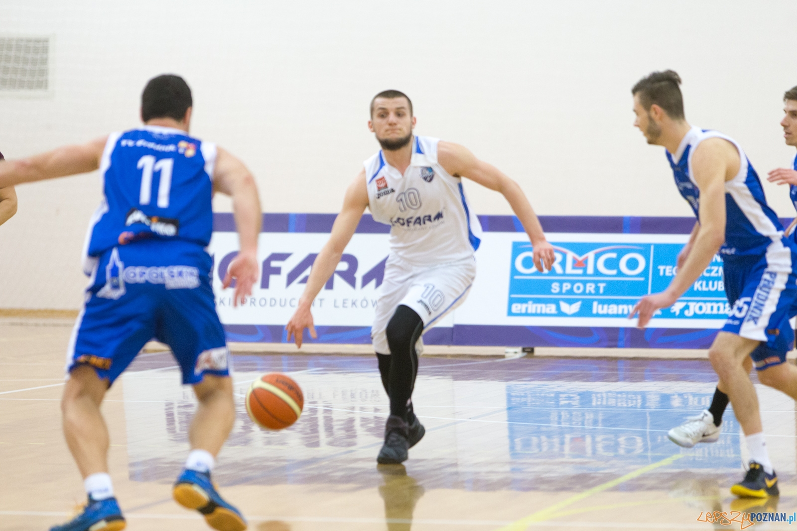 Biofarm Basket Poznań - Meritumkredyt Pogoń Prudnik Foto: lepszyPOZNAN.pl / Piotr Rychter Biofarm Basket Poznań - Meritumkredyt Pogoń Prudnik Foto: lepszyPOZNAN.pl / Piotr Rychter