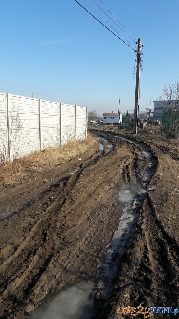 Ulica Podjarszki - zniszczona droga Foto: Straż Miejska Ulica Podjarszki - zniszczona droga Foto: Straż Miejska