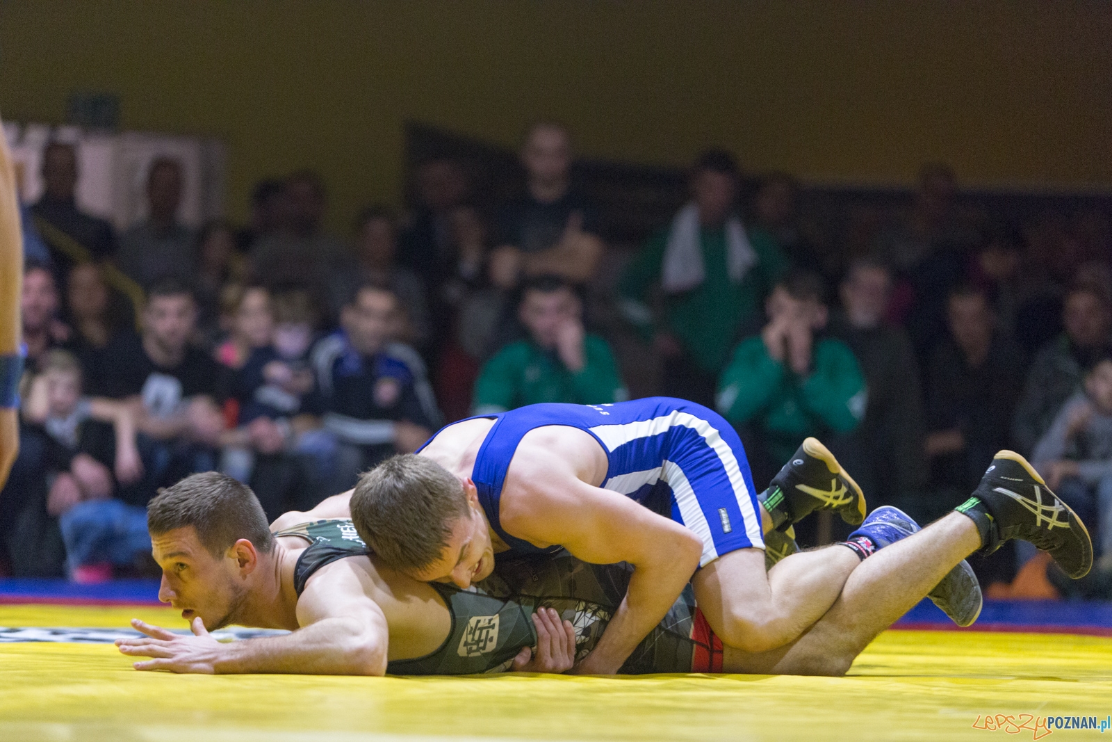 Krajowa Liga Zapaśnicza - WKS Grunwald - AZ Supra Brokers Wroc Foto: lepszyPOZNAN.pl / Piotr Rychter Krajowa Liga Zapaśnicza - WKS Grunwald - AZ Supra Brokers Wroc Foto: lepszyPOZNAN.pl / Piotr Rychter