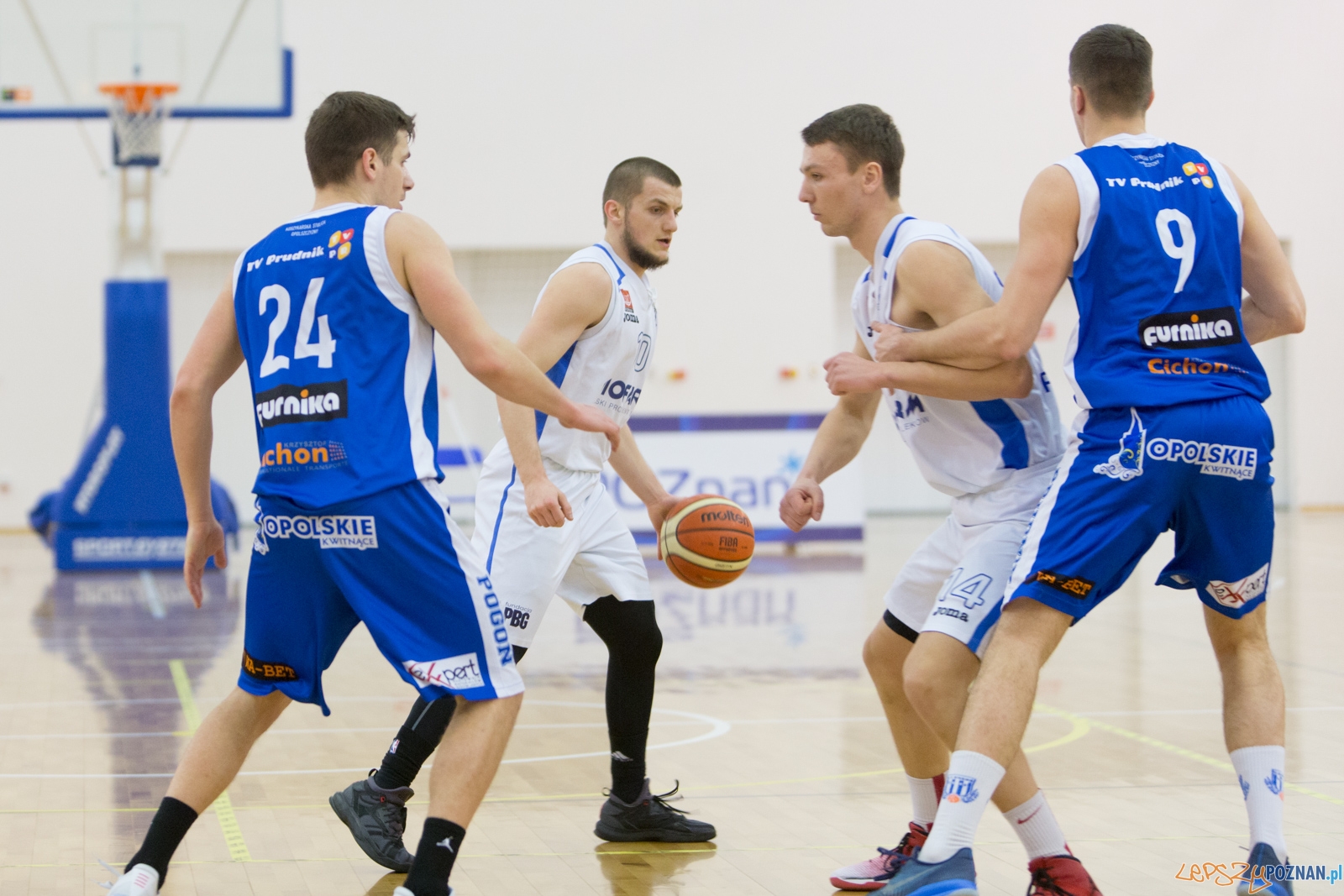 Biofarm Basket Poznań - Meritumkredyt Pogoń Prudnik Foto: lepszyPOZNAN.pl / Piotr Rychter Biofarm Basket Poznań - Meritumkredyt Pogoń Prudnik Foto: lepszyPOZNAN.pl / Piotr Rychter