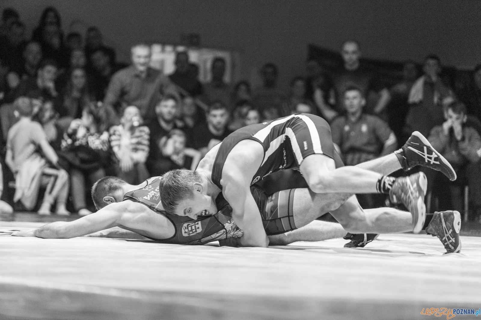 Krajowa Liga Zapaśnicza - WKS Grunwald - AZ Supra Brokers Wroc Foto: lepszyPOZNAN.pl / Piotr Rychter Krajowa Liga Zapaśnicza - WKS Grunwald - AZ Supra Brokers Wroc Foto: lepszyPOZNAN.pl / Piotr Rychter