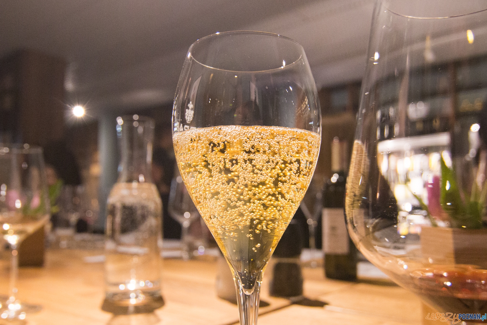 Dobra i Wino Foto: lepszyPOZNAN.pl / Piotr Rychter Dobra i Wino Foto: lepszyPOZNAN.pl / Piotr Rychter