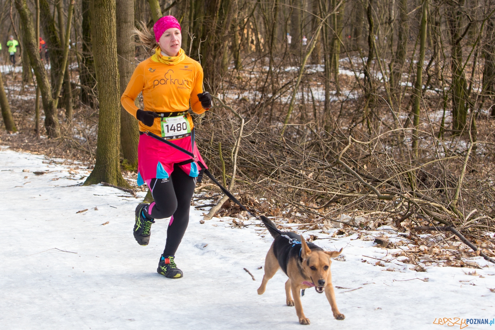 50-ty City Trail w Poznaniu Foto: lepszyPOZNAN.pl / Piotr Rychter 50-ty City Trail w Poznaniu Foto: lepszyPOZNAN.pl / Piotr Rychter