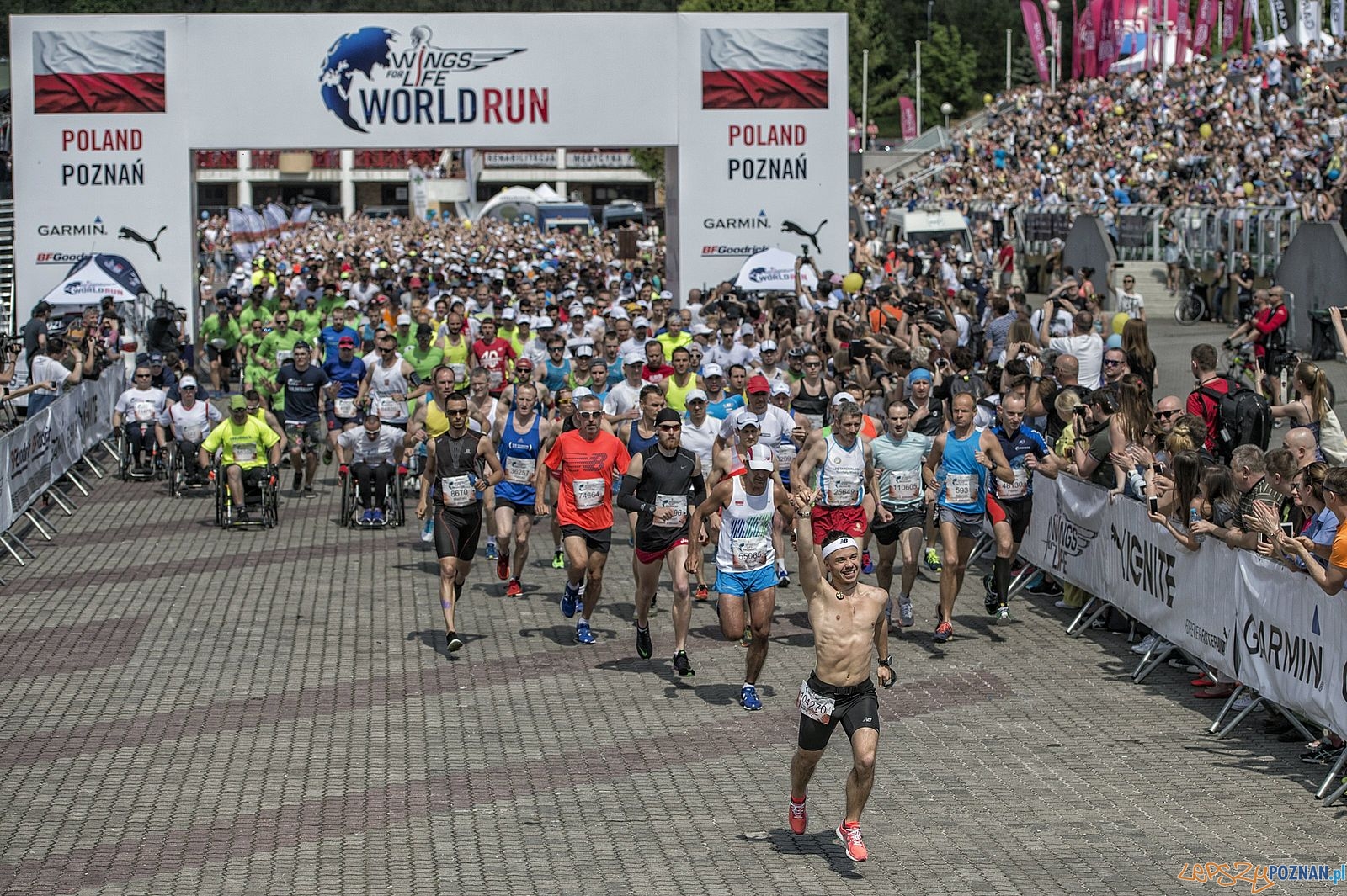 Wings for Life World Run  Foto: Łukasz Nadraczew / Wings for Life World Ru