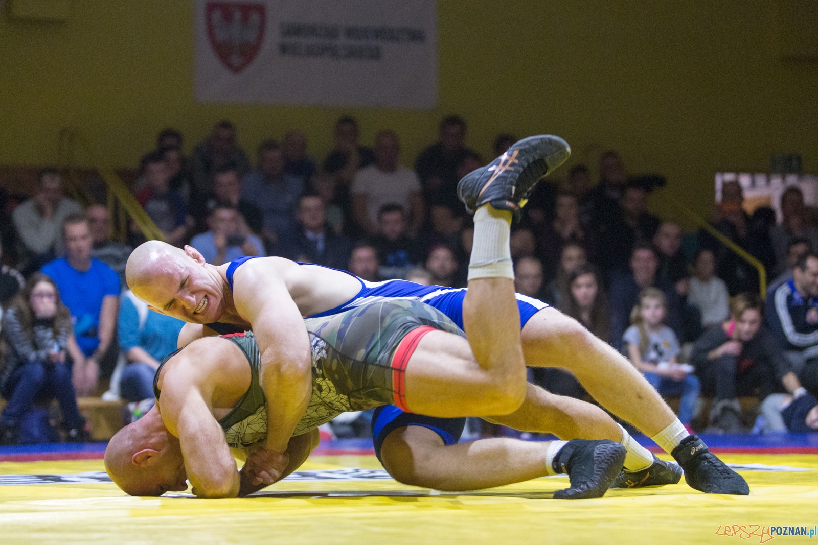 Krajowa Liga Zapaśnicza - WKS Grunwald - AZ Supra Brokers Wroc Foto: lepszyPOZNAN.pl / Piotr Rychter Krajowa Liga Zapaśnicza - WKS Grunwald - AZ Supra Brokers Wroc Foto: lepszyPOZNAN.pl / Piotr Rychter