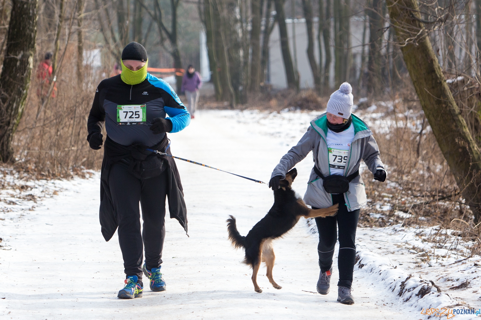 50-ty City Trail w Poznaniu Foto: lepszyPOZNAN.pl / Piotr Rychter 50-ty City Trail w Poznaniu Foto: lepszyPOZNAN.pl / Piotr Rychter
