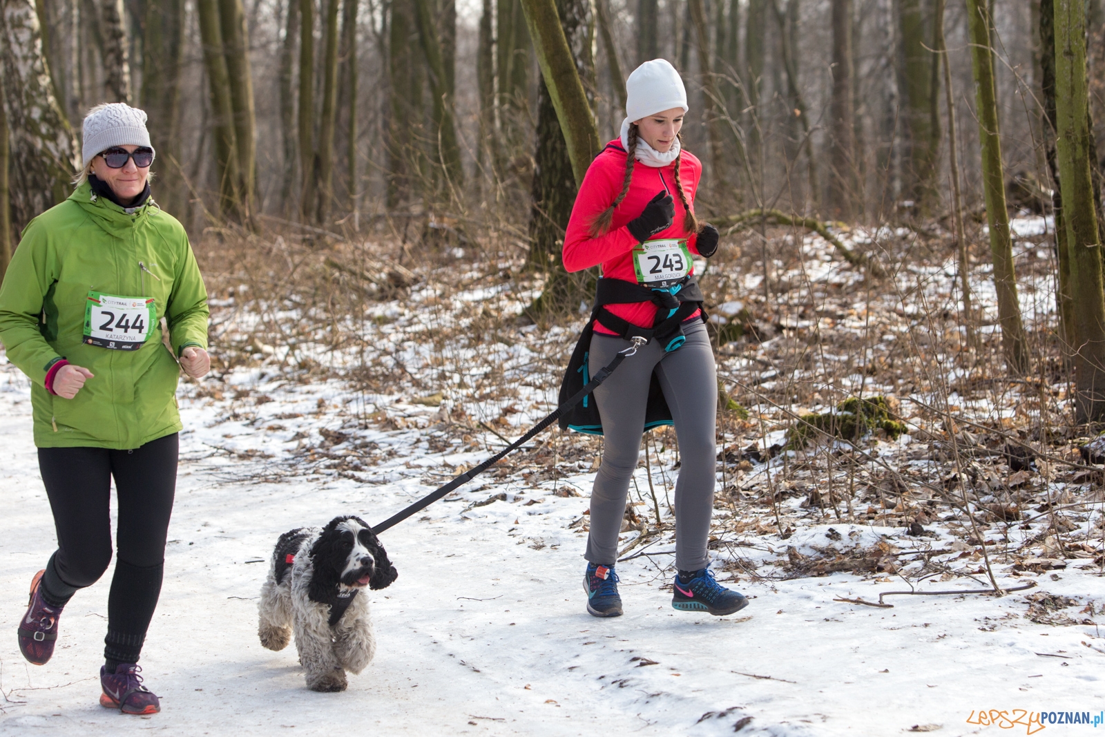 50-ty City Trail w Poznaniu Foto: lepszyPOZNAN.pl / Piotr Rychter 50-ty City Trail w Poznaniu Foto: lepszyPOZNAN.pl / Piotr Rychter