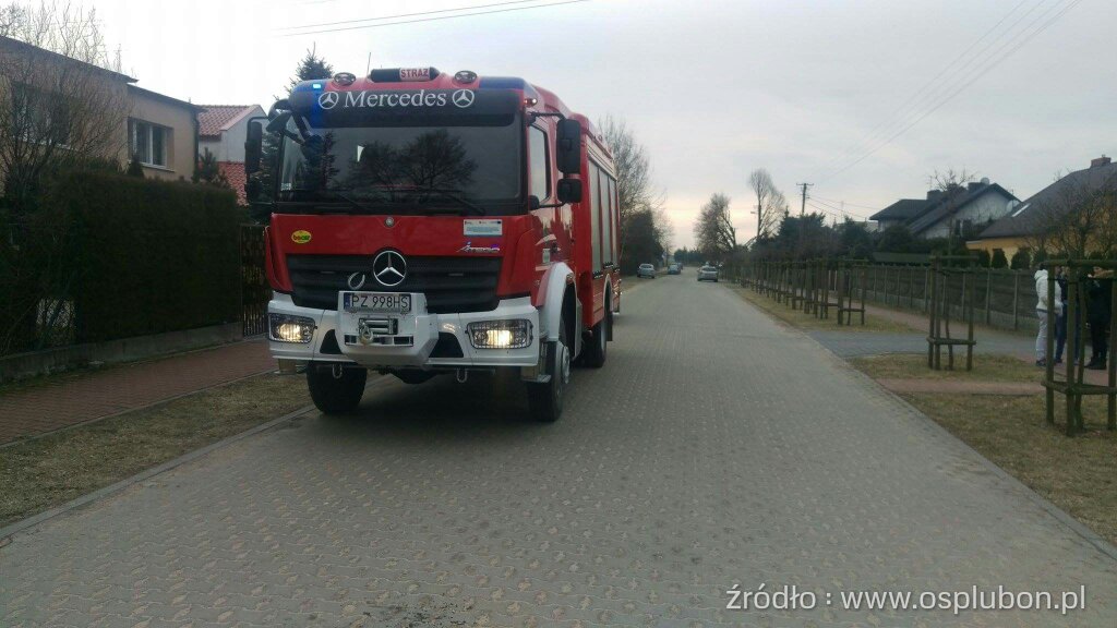 Śmiertelna ofiara wycinki drzew! Foto: OSP Luboń Śmiertelna ofiara wycinki drzew! Foto: OSP Luboń