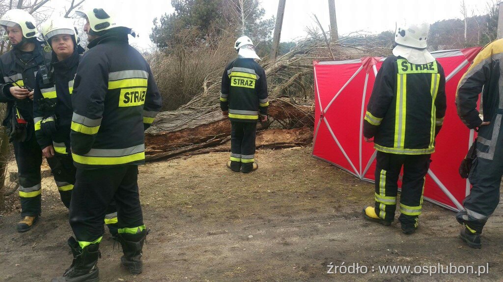 Śmiertelna ofiara wycinki drzew! Foto: OSP Luboń Śmiertelna ofiara wycinki drzew! Foto: OSP Luboń
