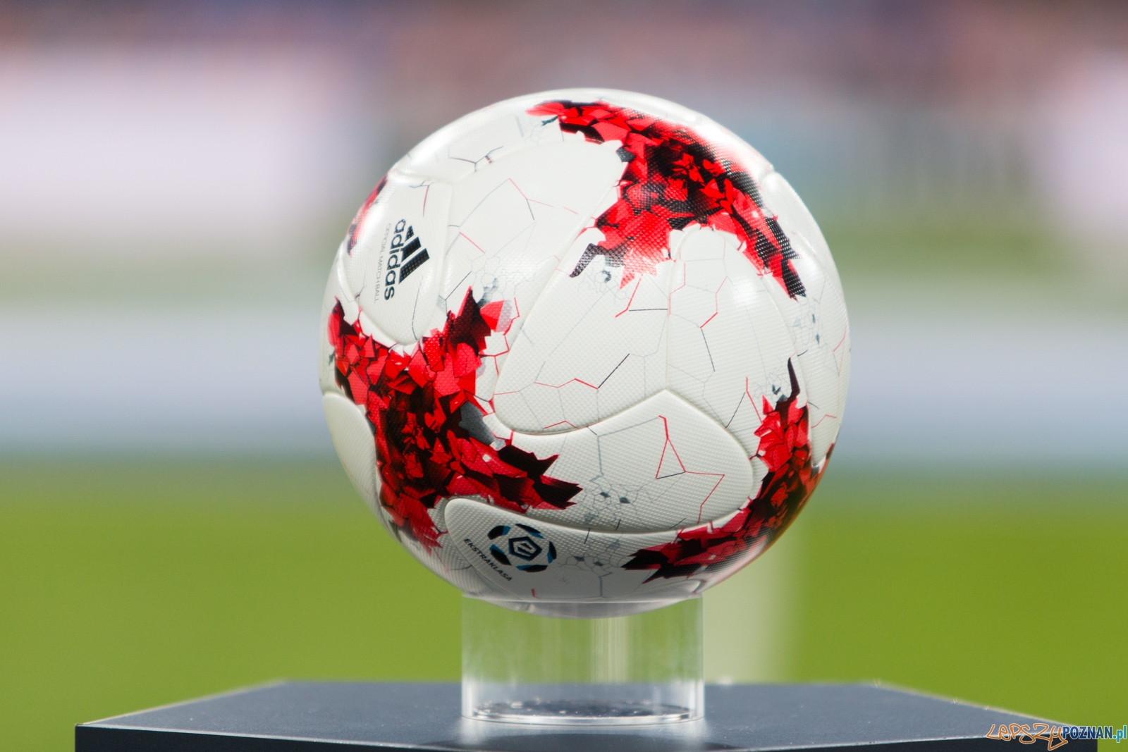 KKS Lech Poznań - Bruk-Bet Nieciecza Foto: lepszyPOZNAN.pl / Piotr Rychter KKS Lech Poznań - Bruk-Bet Nieciecza Foto: lepszyPOZNAN.pl / Piotr Rychter