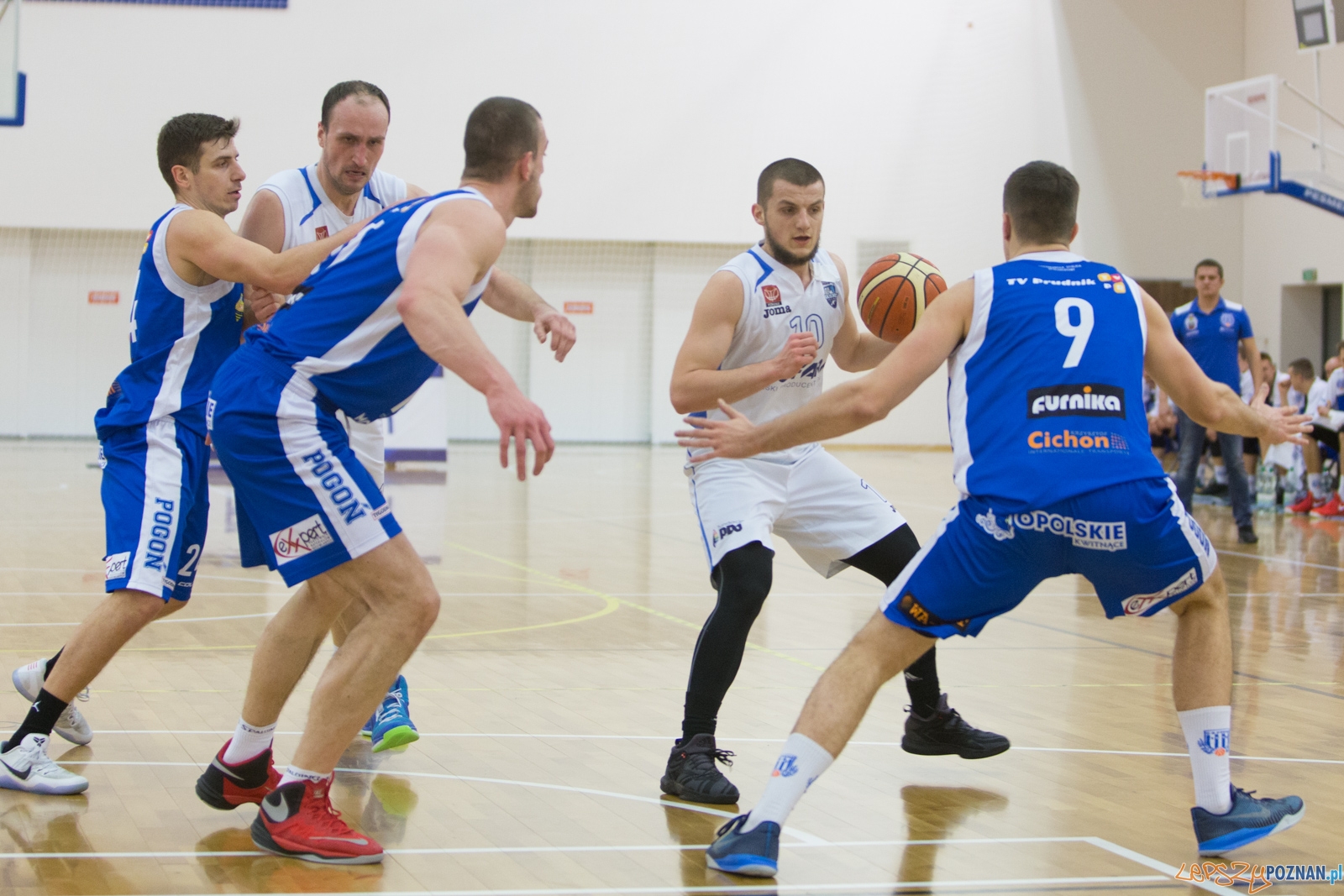 Biofarm Basket Poznań - Meritumkredyt Pogoń Prudnik Foto: lepszyPOZNAN.pl / Piotr Rychter Biofarm Basket Poznań - Meritumkredyt Pogoń Prudnik Foto: lepszyPOZNAN.pl / Piotr Rychter